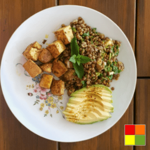 Ayurveda-Compendium Lentil Mango Salad with Tofu